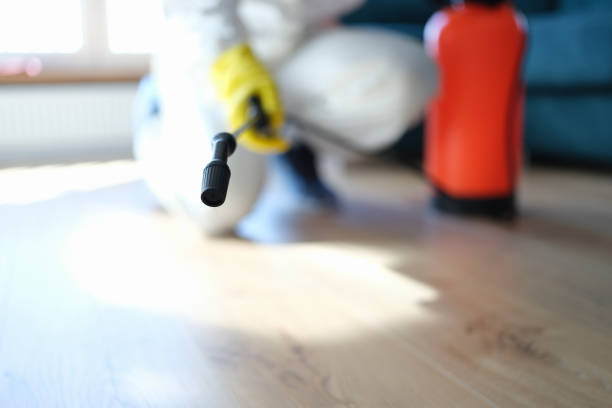 Forensic Mold Investigation in Dania Beach, FL
