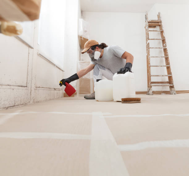 Best Mold Removal for HVAC Installations  in Dania Beach, FL